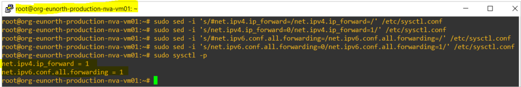 enable ip forawrding on ubuntu virtual machine